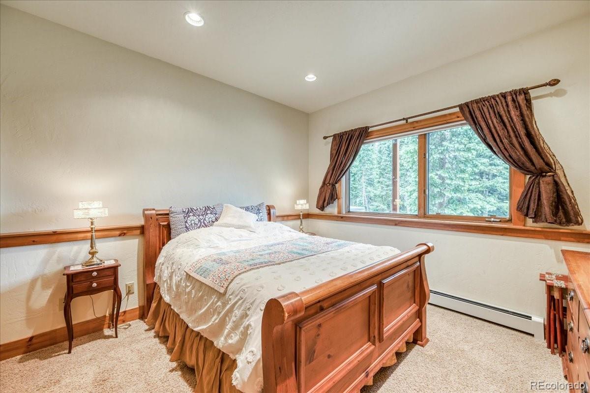 MLS Image #18 for 0453  cr 672 ,breckenridge, Colorado