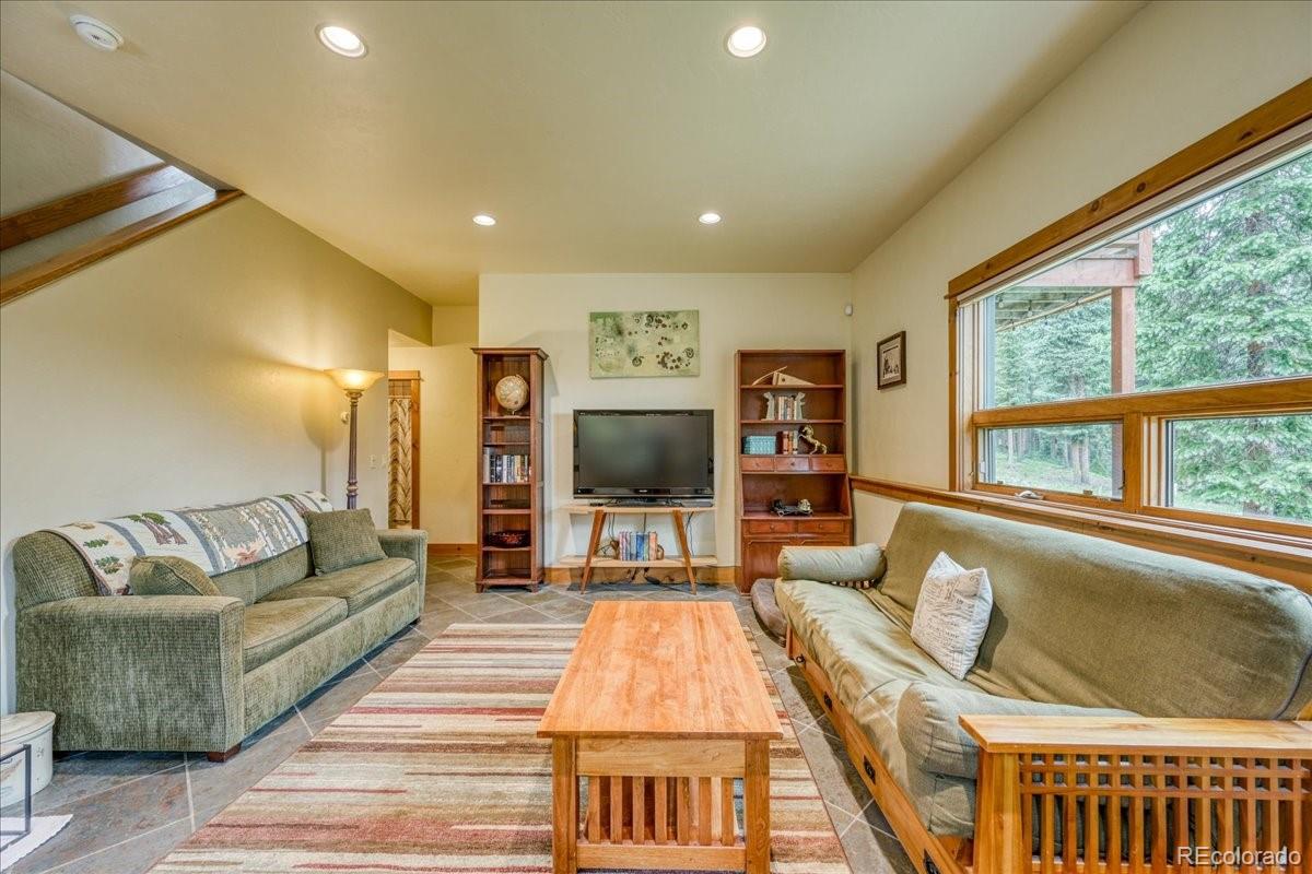 MLS Image #19 for 0453  cr 672 ,breckenridge, Colorado