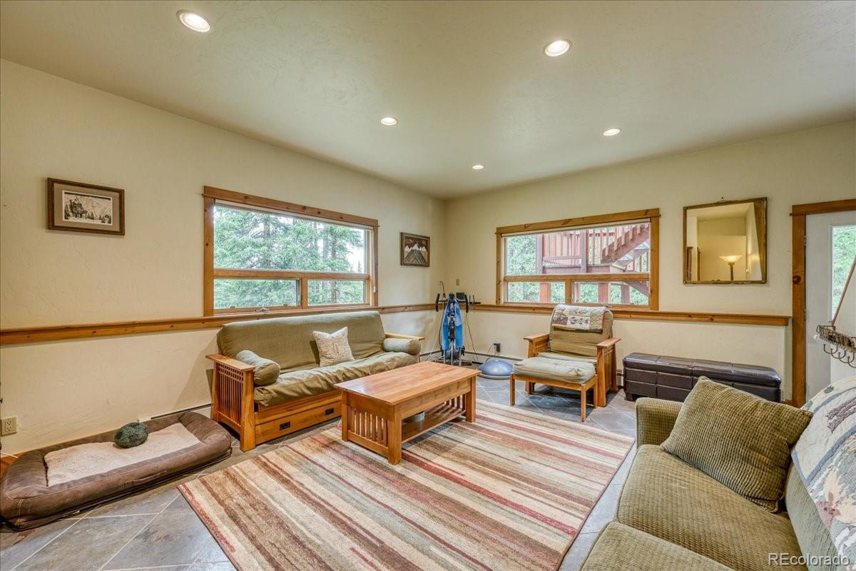 MLS Image #21 for 0453  cr 672 ,breckenridge, Colorado