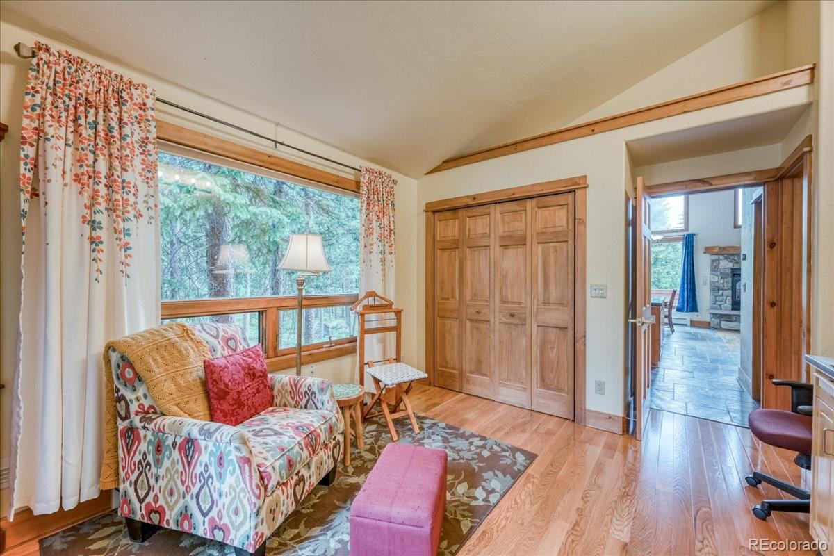 MLS Image #22 for 0453  cr 672 ,breckenridge, Colorado