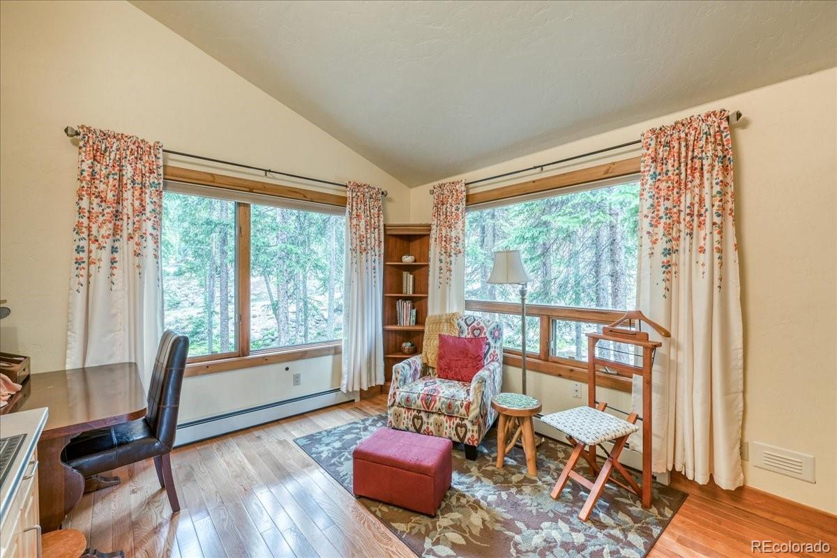 MLS Image #23 for 0453  cr 672 ,breckenridge, Colorado