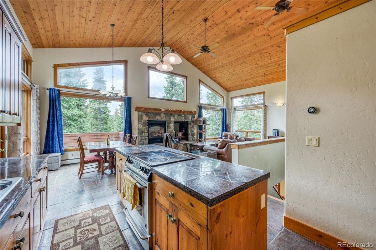 MLS Image #6 for 0453  cr 672 ,breckenridge, Colorado
