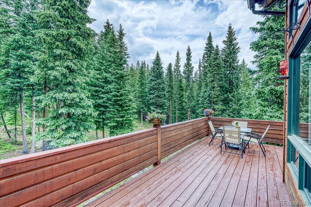 MLS Image #8 for 0453  cr 672 ,breckenridge, Colorado