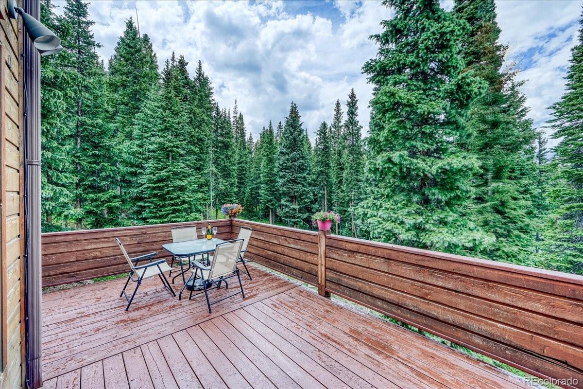 MLS Image #9 for 0453  cr 672 ,breckenridge, Colorado