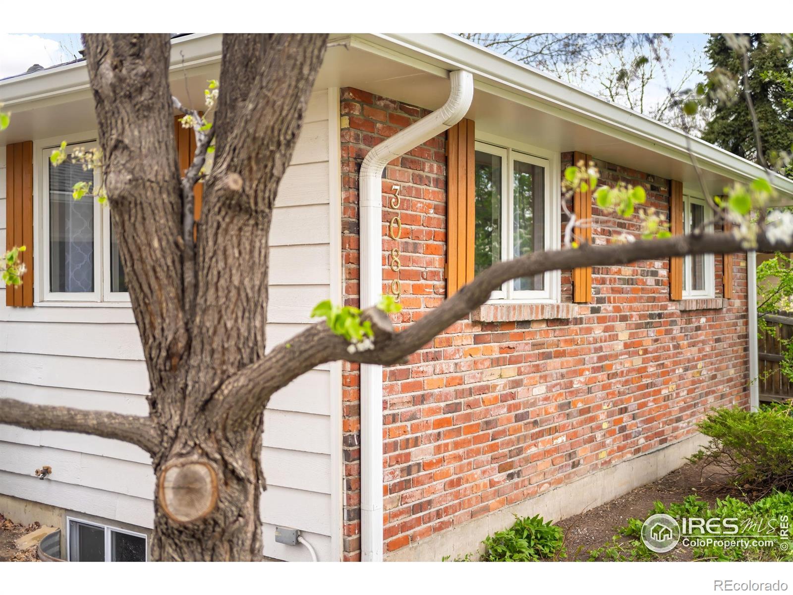 MLS Image #27 for 3089 s jasmine street,denver, Colorado