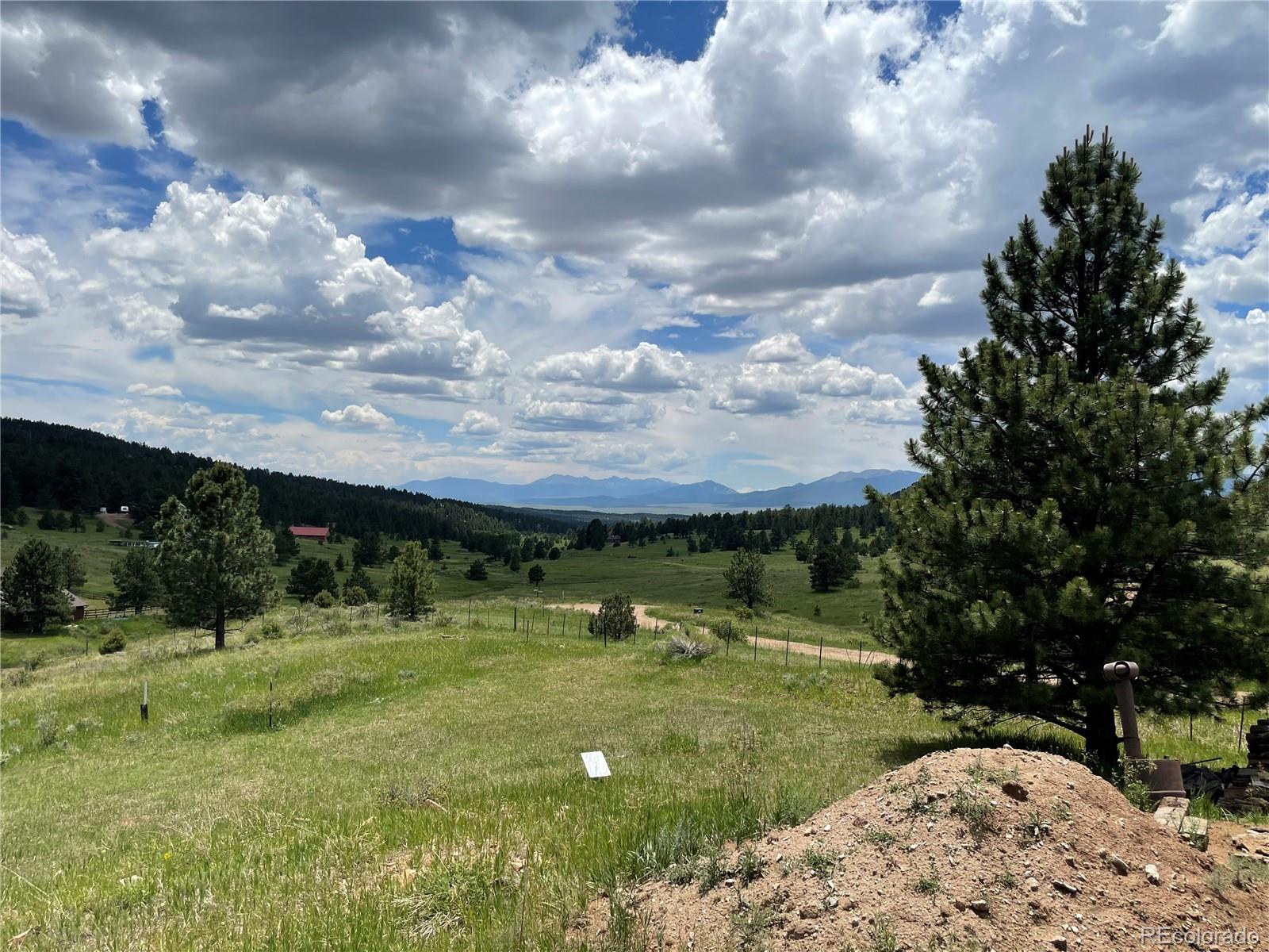 MLS Image #21 for 291  junkins loop,westcliffe, Colorado