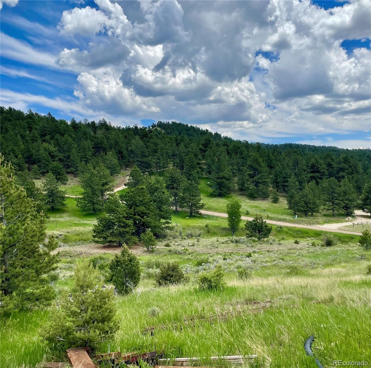 MLS Image #24 for 291  junkins loop,westcliffe, Colorado