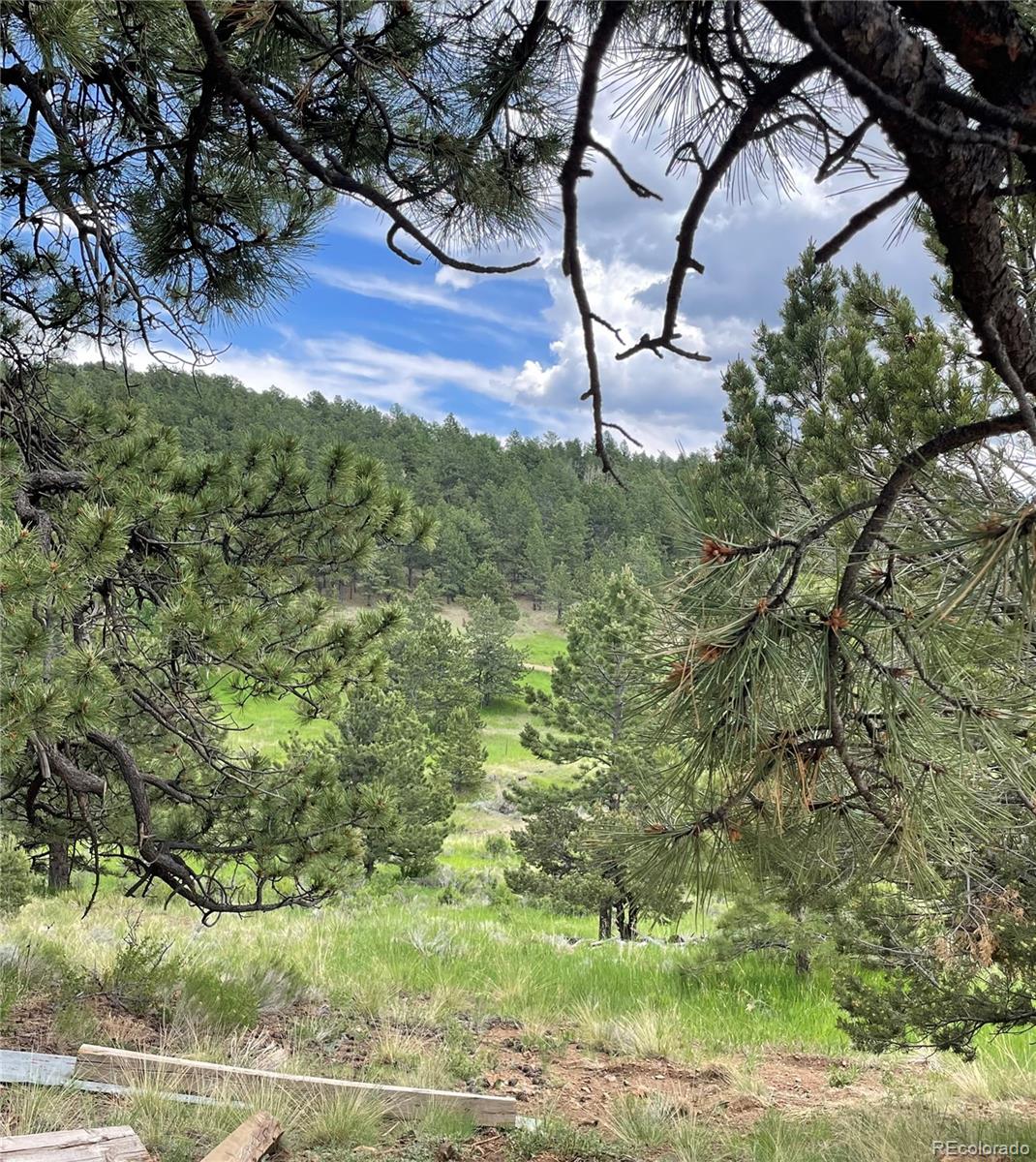 MLS Image #32 for 291  junkins loop,westcliffe, Colorado