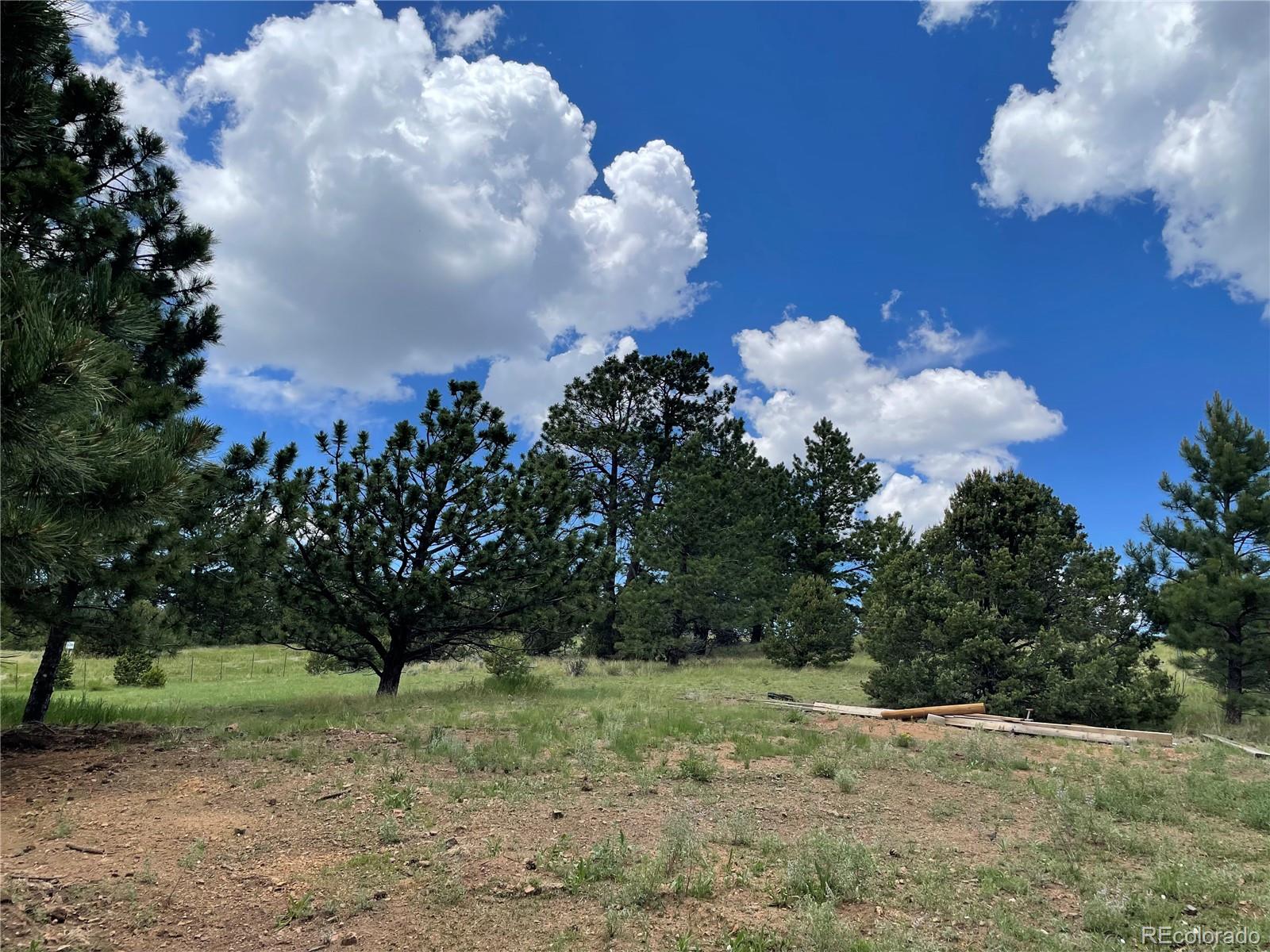 MLS Image #34 for 291  junkins loop,westcliffe, Colorado