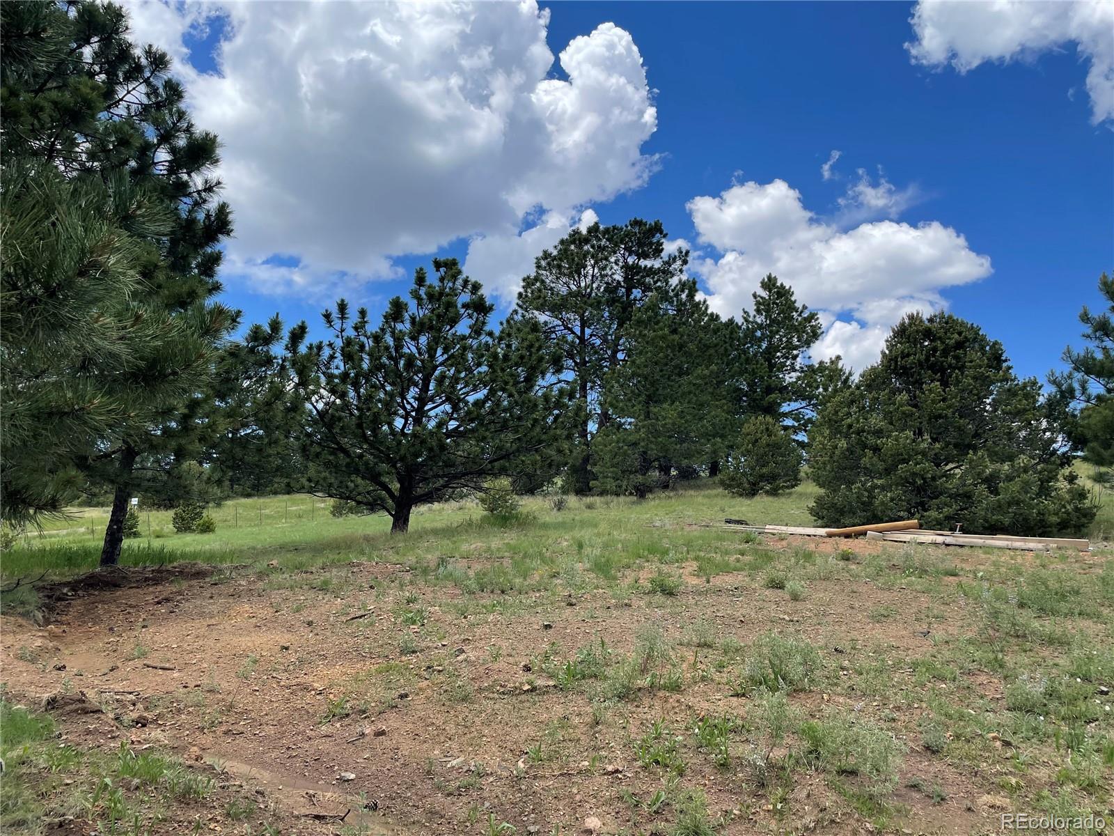 MLS Image #35 for 291  junkins loop,westcliffe, Colorado