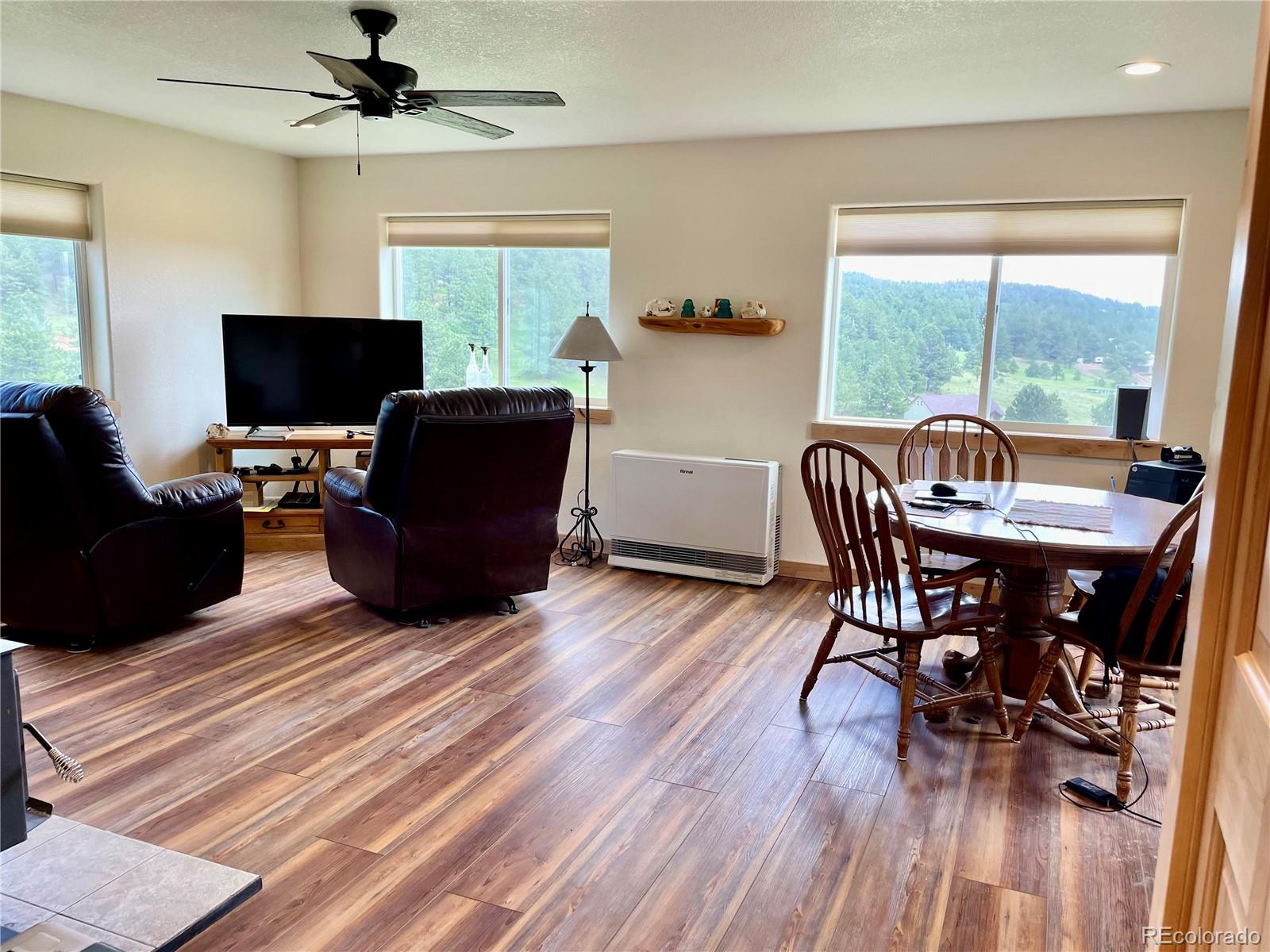 MLS Image #4 for 291  junkins loop,westcliffe, Colorado