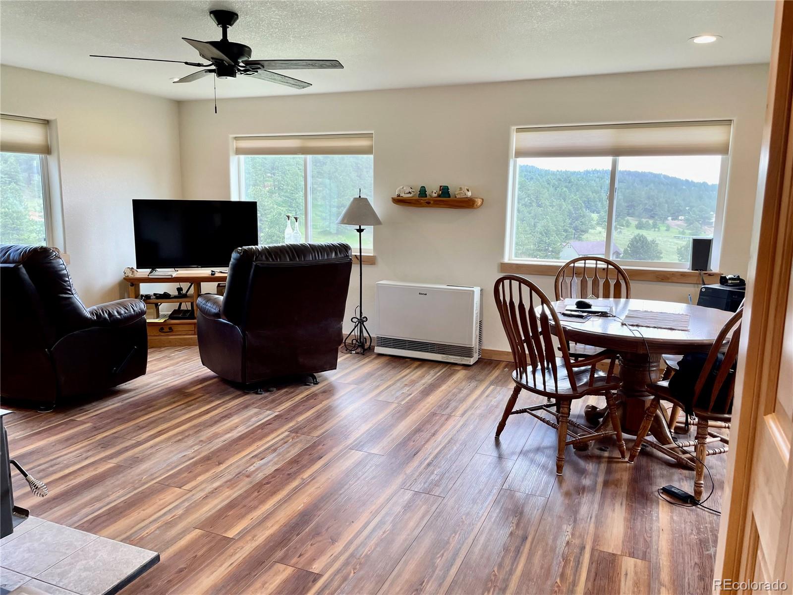 MLS Image #5 for 291  junkins loop,westcliffe, Colorado