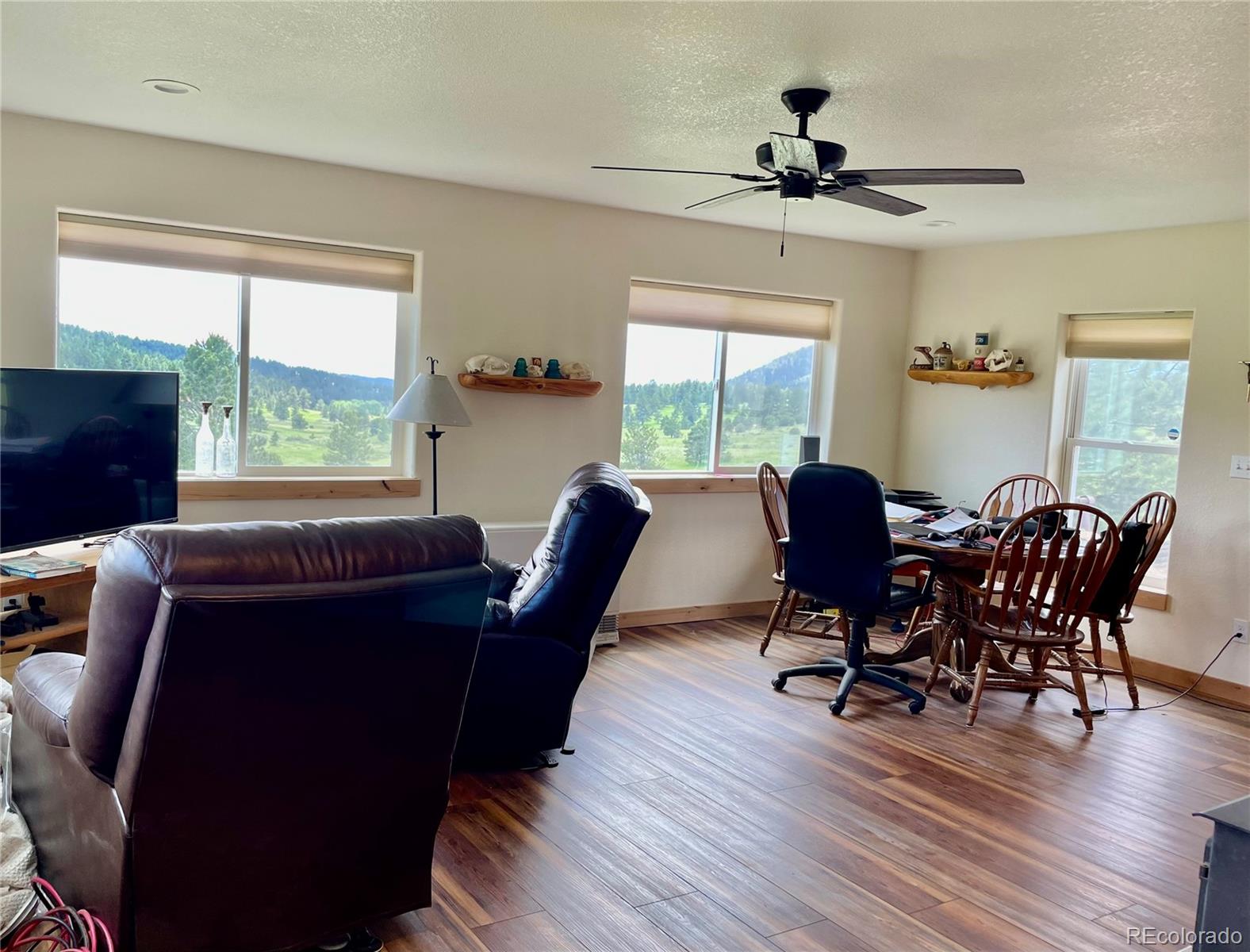 MLS Image #6 for 291  junkins loop,westcliffe, Colorado