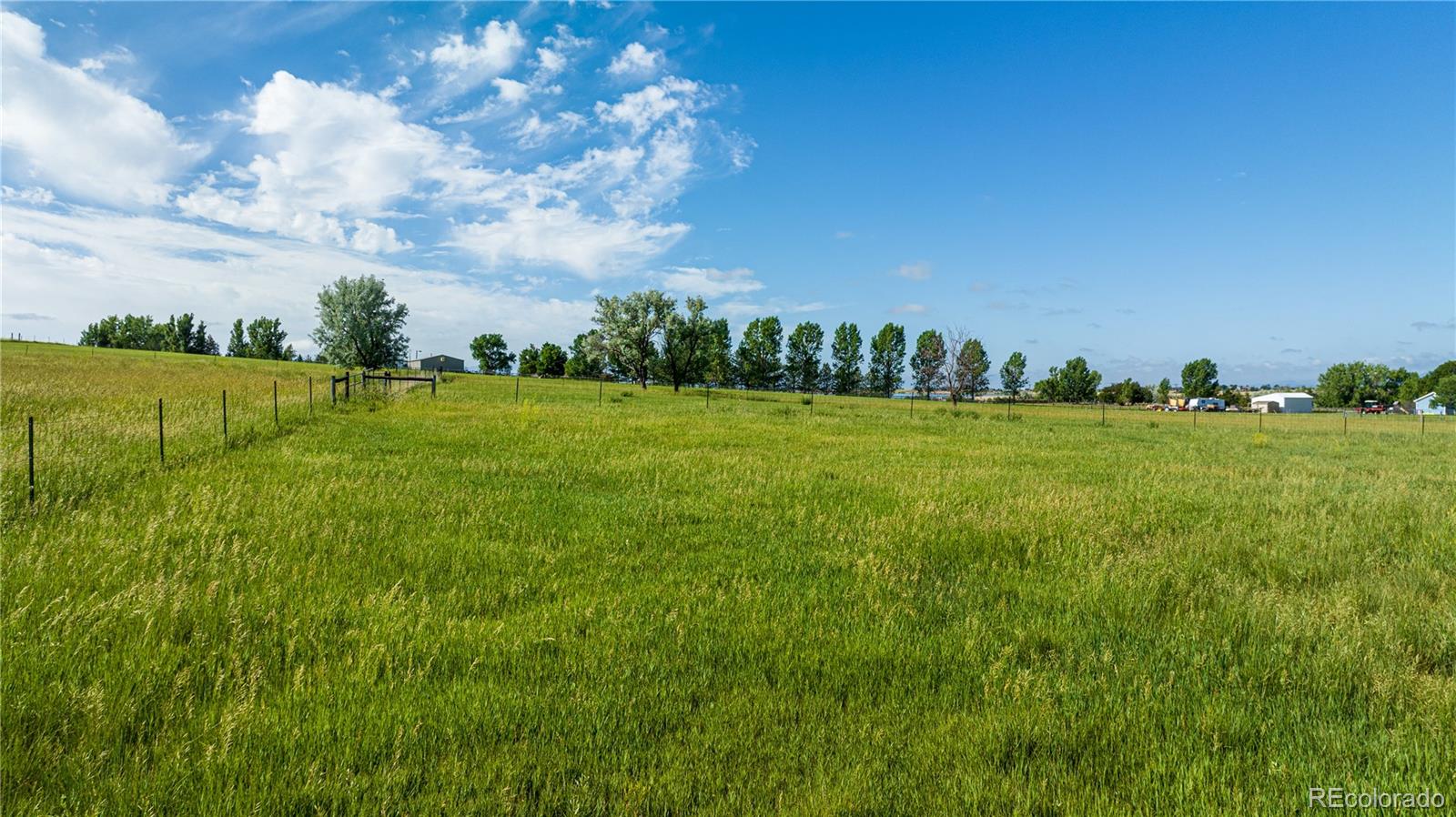 MLS Image #30 for 5124 n county road 3 ,fort collins, Colorado