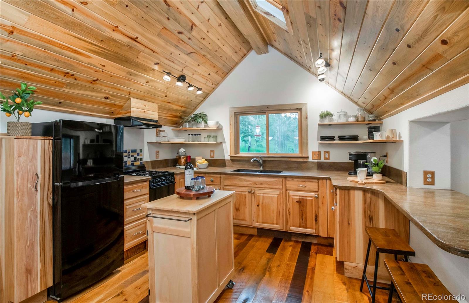 MLS Image #15 for 26  cool spring drive,evergreen, Colorado
