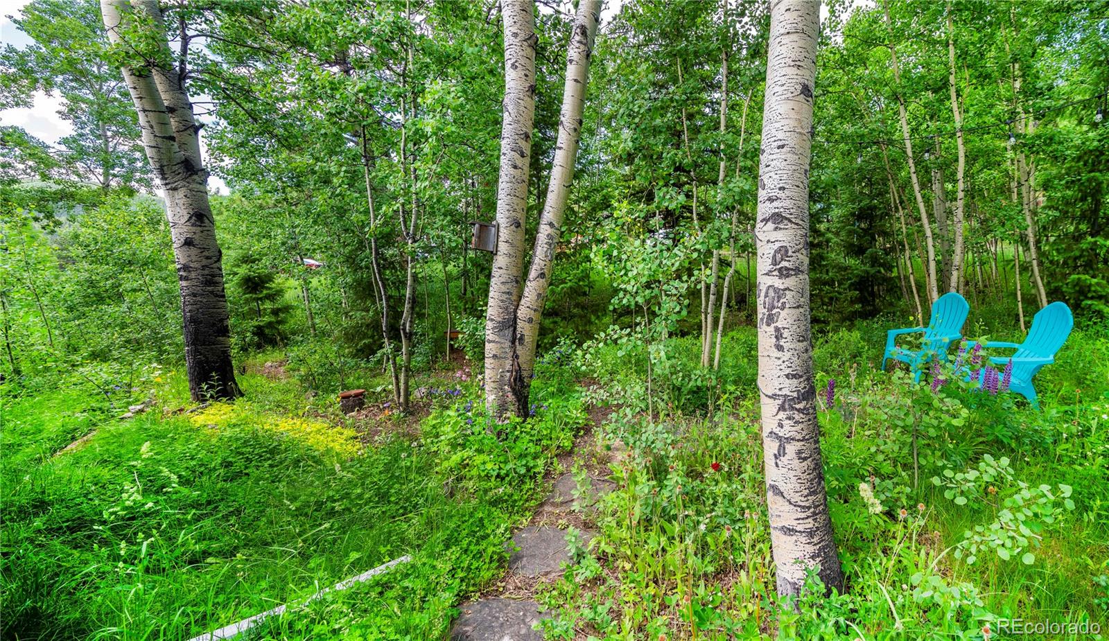 MLS Image #37 for 26  cool spring drive,evergreen, Colorado