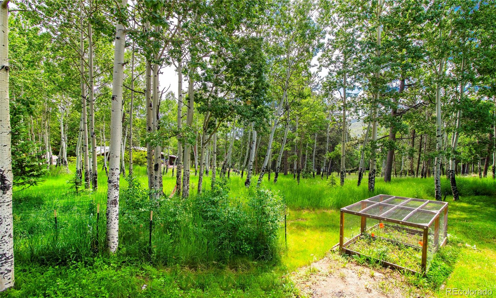 MLS Image #38 for 26  cool spring drive,evergreen, Colorado