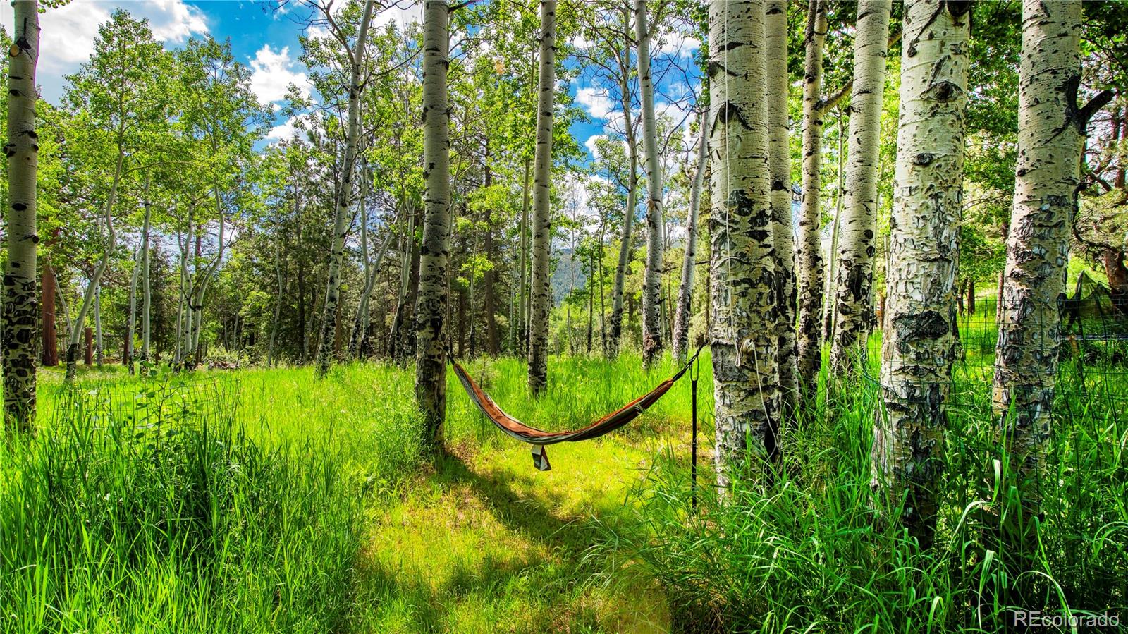 MLS Image #39 for 26  cool spring drive,evergreen, Colorado