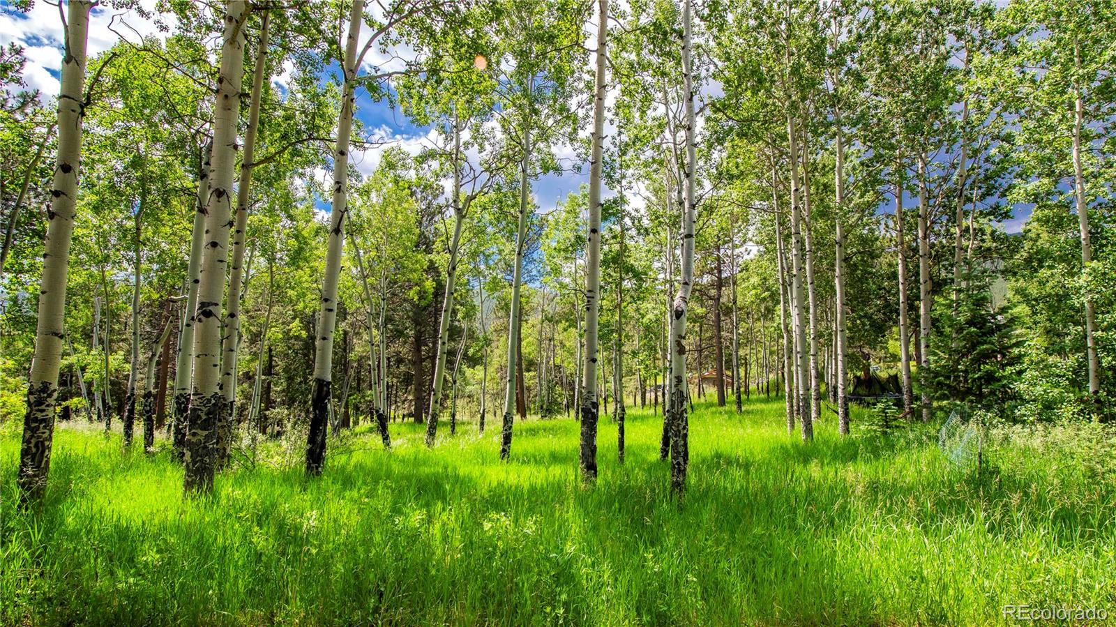 MLS Image #40 for 26  cool spring drive,evergreen, Colorado