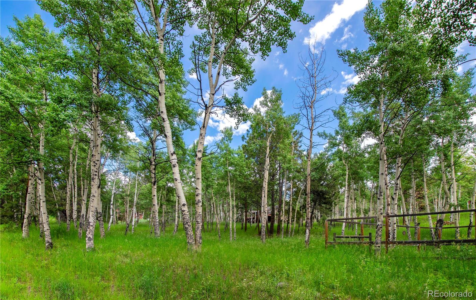 MLS Image #43 for 26  cool spring drive,evergreen, Colorado