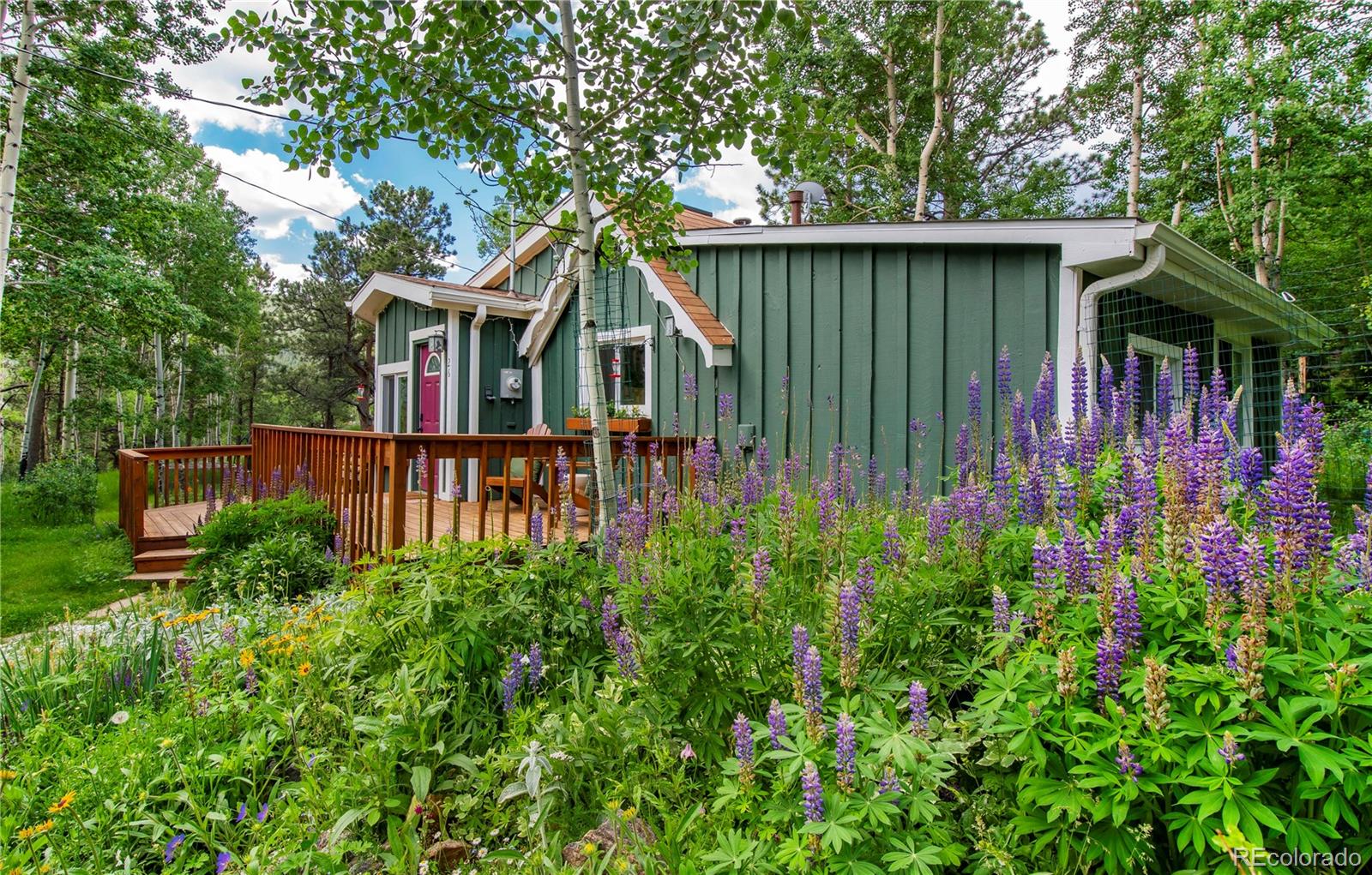 MLS Image #6 for 26  cool spring drive,evergreen, Colorado