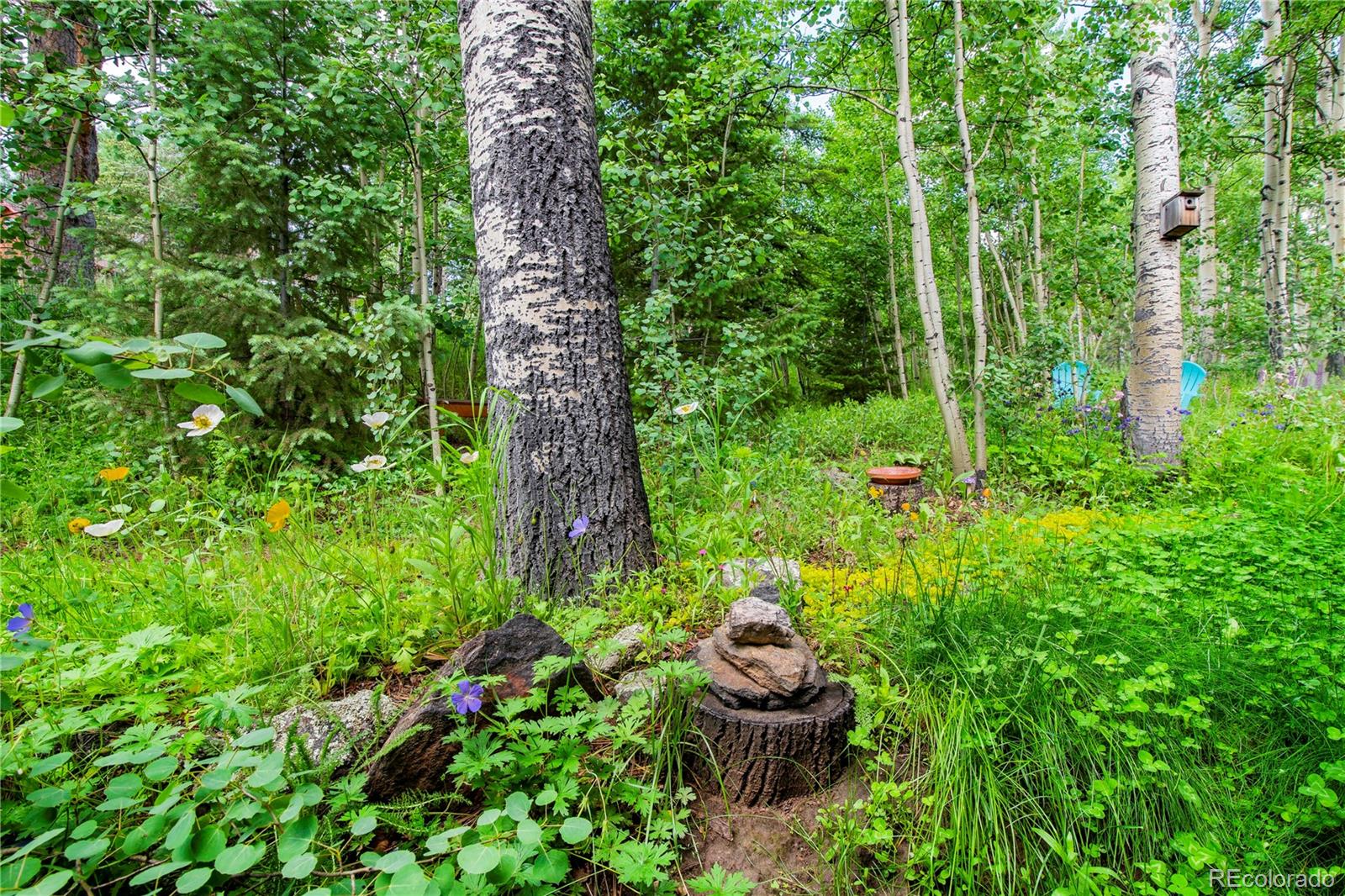 MLS Image #8 for 26  cool spring drive,evergreen, Colorado