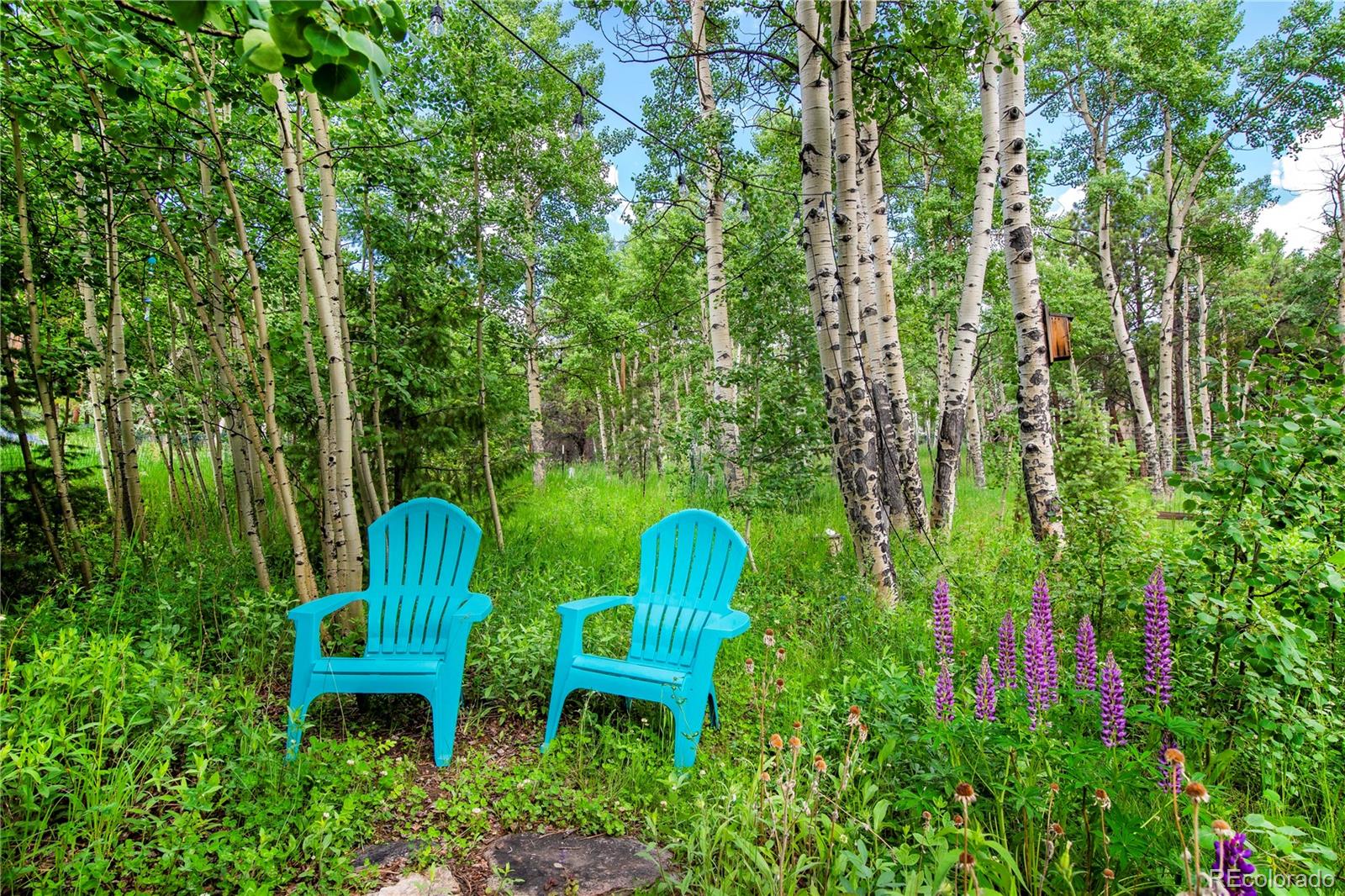 MLS Image #9 for 26  cool spring drive,evergreen, Colorado
