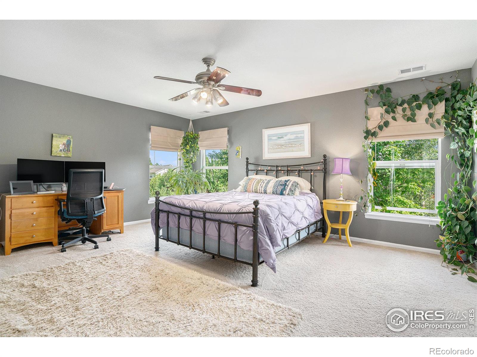 MLS Image #10 for 6938  autumn ridge drive,fort collins, Colorado