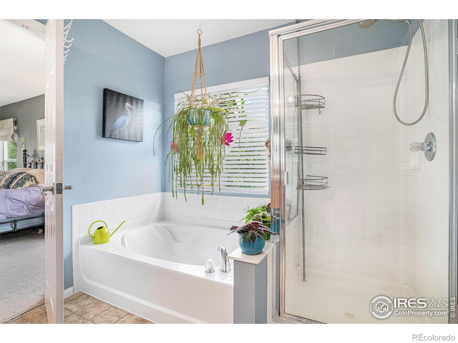 MLS Image #13 for 6938  autumn ridge drive,fort collins, Colorado