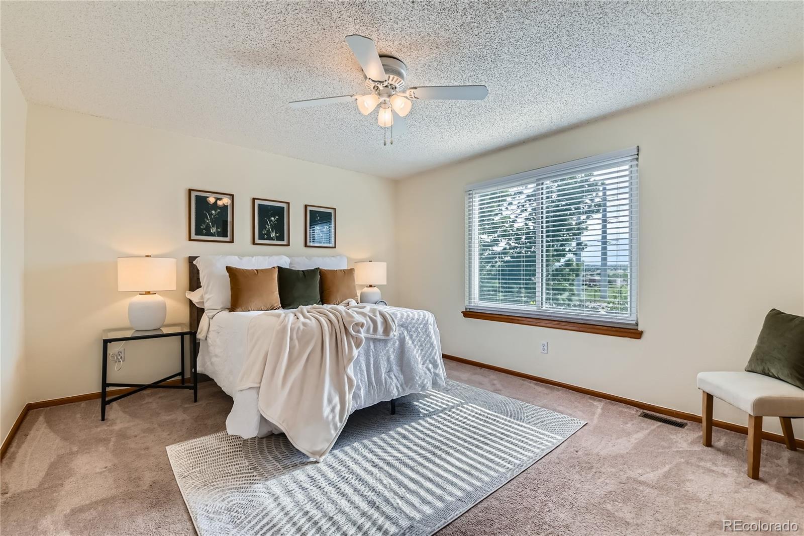 MLS Image #12 for 11363  latigo lane,parker, Colorado