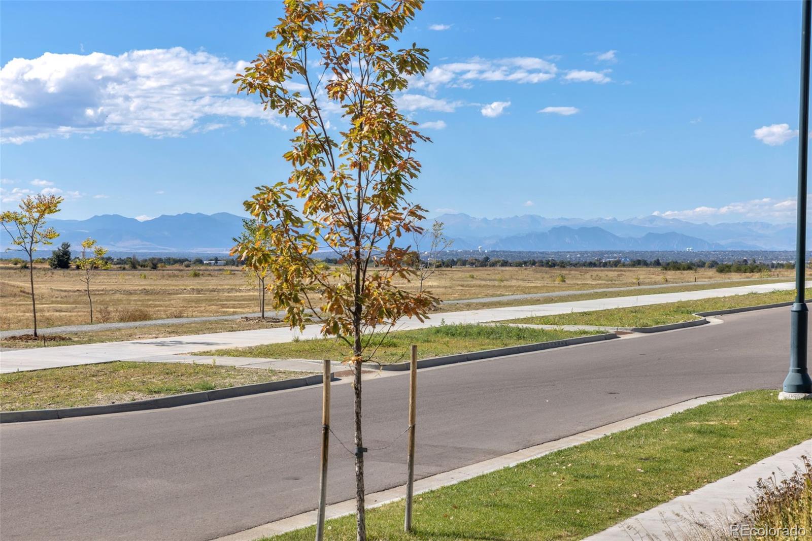 MLS Image #36 for 6288 n dallas street,denver, Colorado