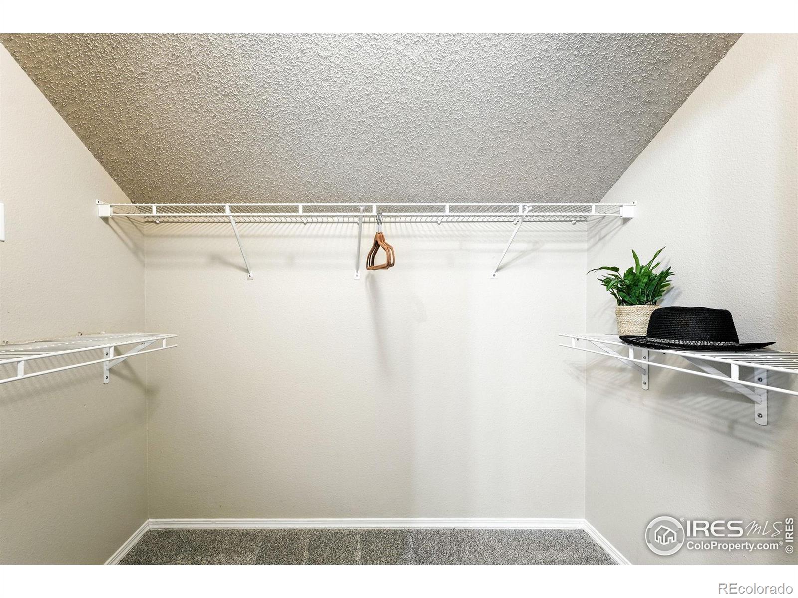 MLS Image #20 for 1876  mallard drive,louisville, Colorado