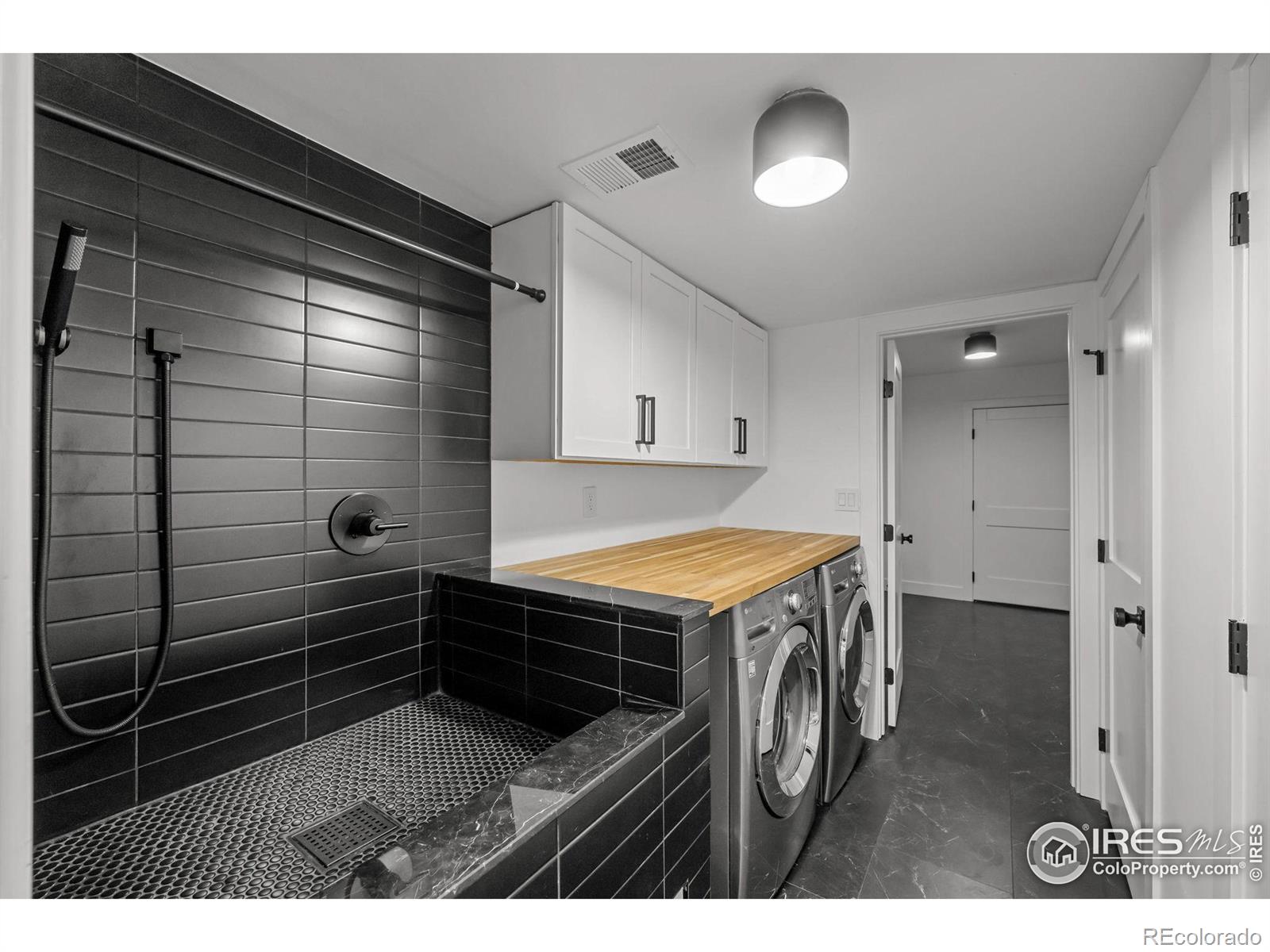 MLS Image #10 for 6668  walker court,niwot, Colorado