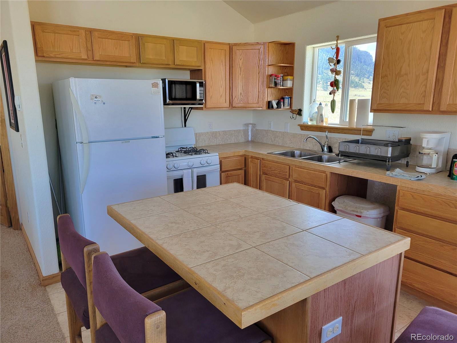 MLS Image #4 for 3150  high chaparral road,lake george, Colorado