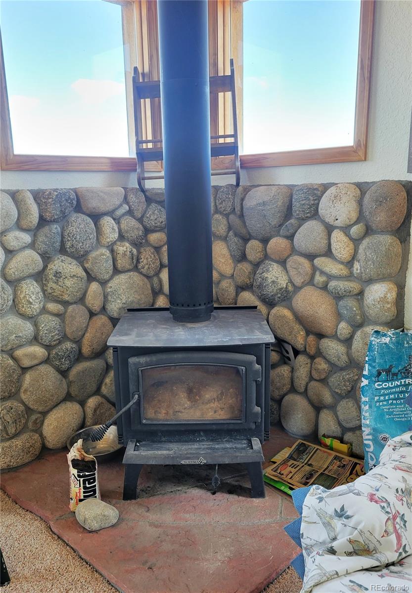 MLS Image #6 for 3150  high chaparral road,lake george, Colorado
