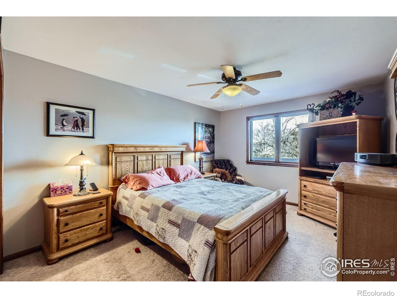 MLS Image #19 for 6504  ralston road,arvada, Colorado