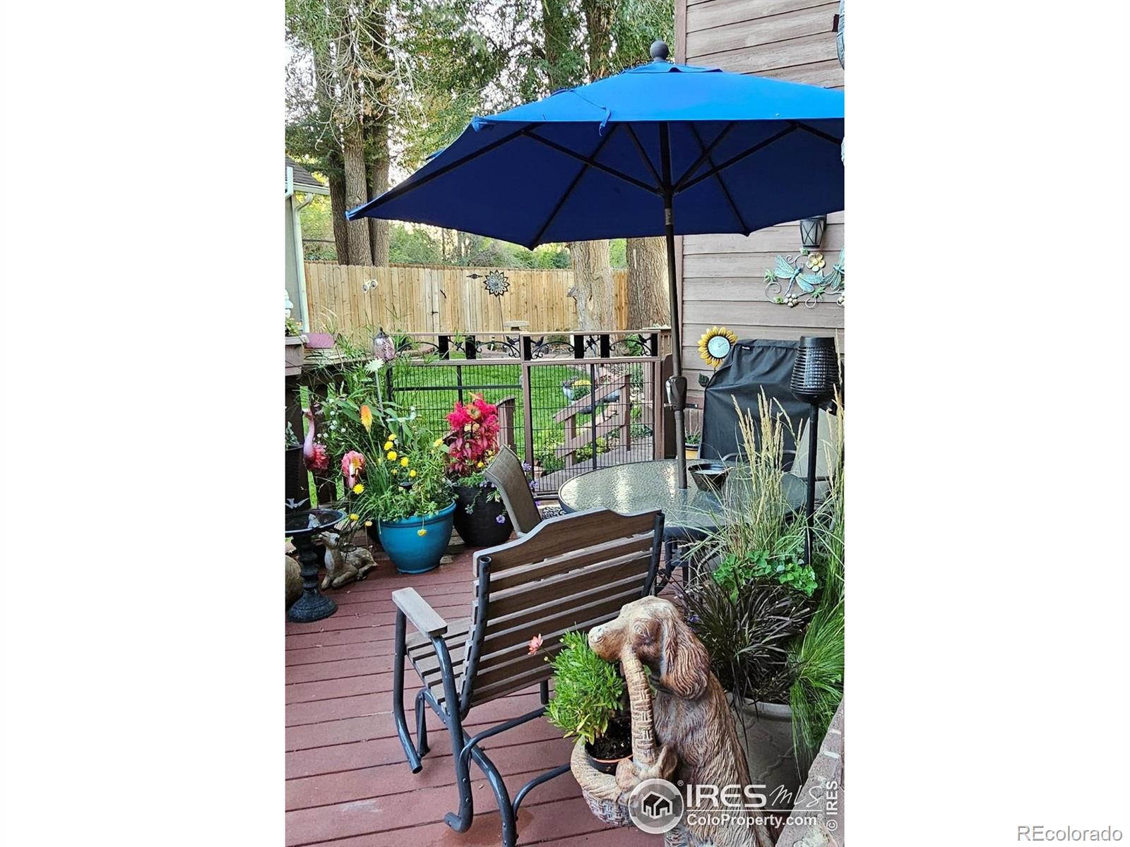 MLS Image #2 for 6504  ralston road,arvada, Colorado