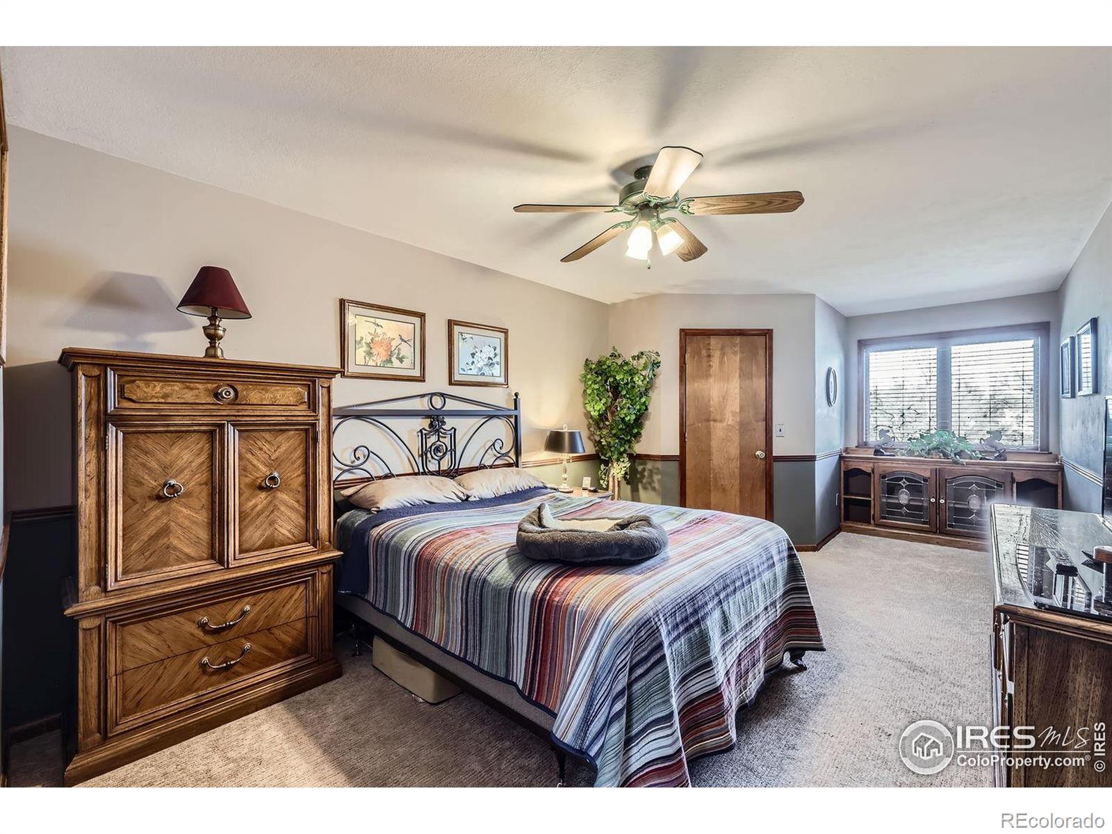 MLS Image #25 for 6504  ralston road,arvada, Colorado