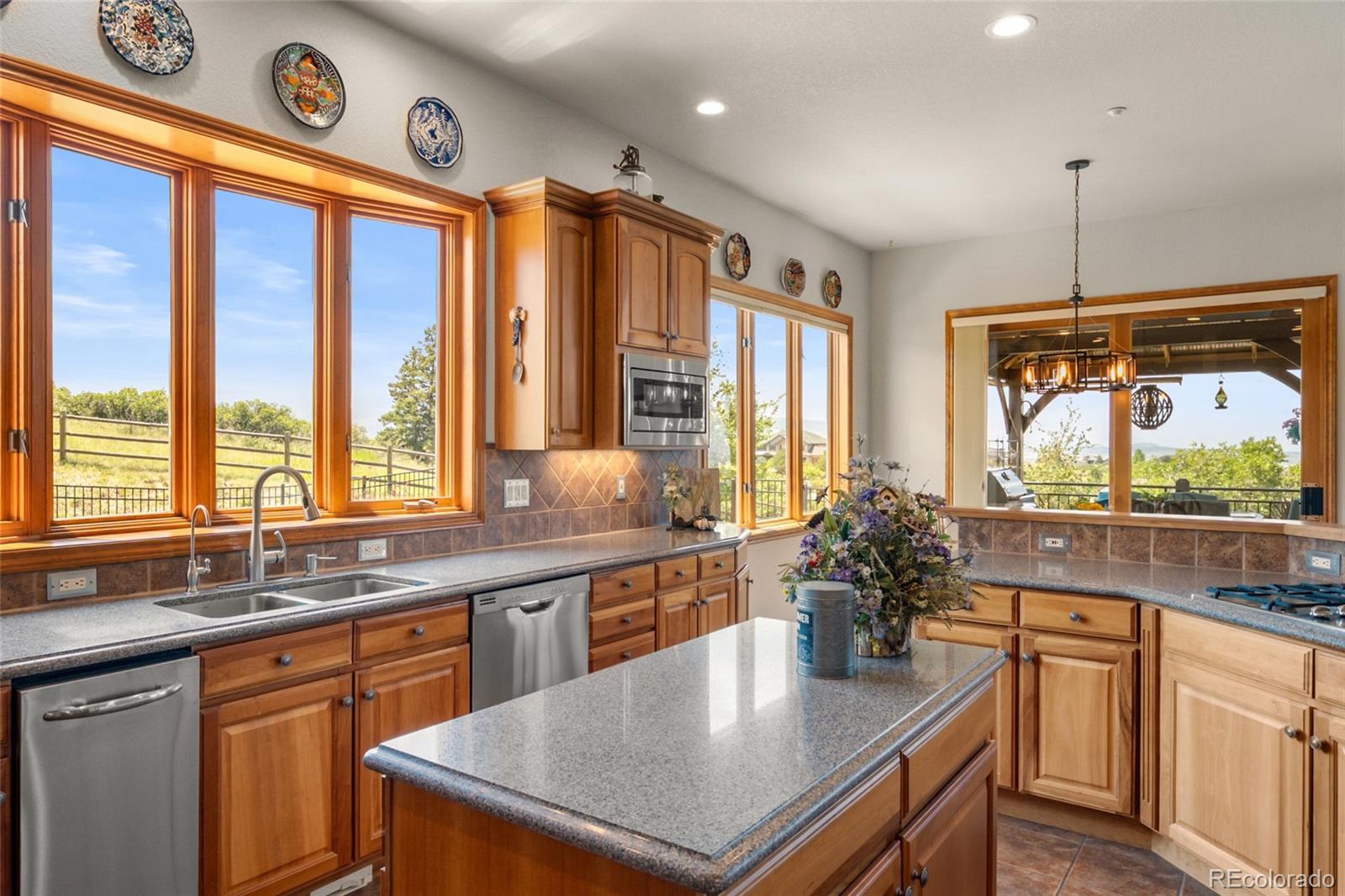 MLS Image #14 for 2561  marlin way,castle rock, Colorado