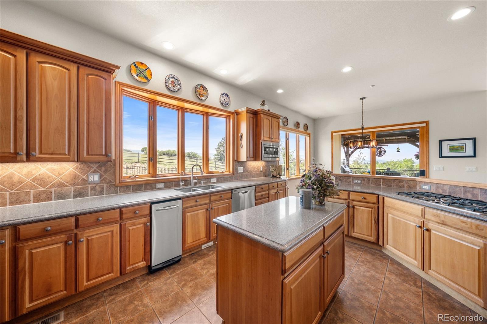 MLS Image #4 for 2561  marlin way,castle rock, Colorado