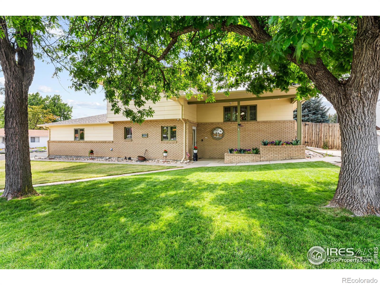 MLS Image #5 for 628  chestnut drive,loveland, Colorado
