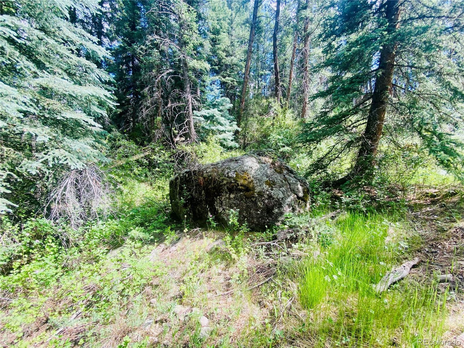 MLS Image #28 for 531 e coach drive,antonito, Colorado