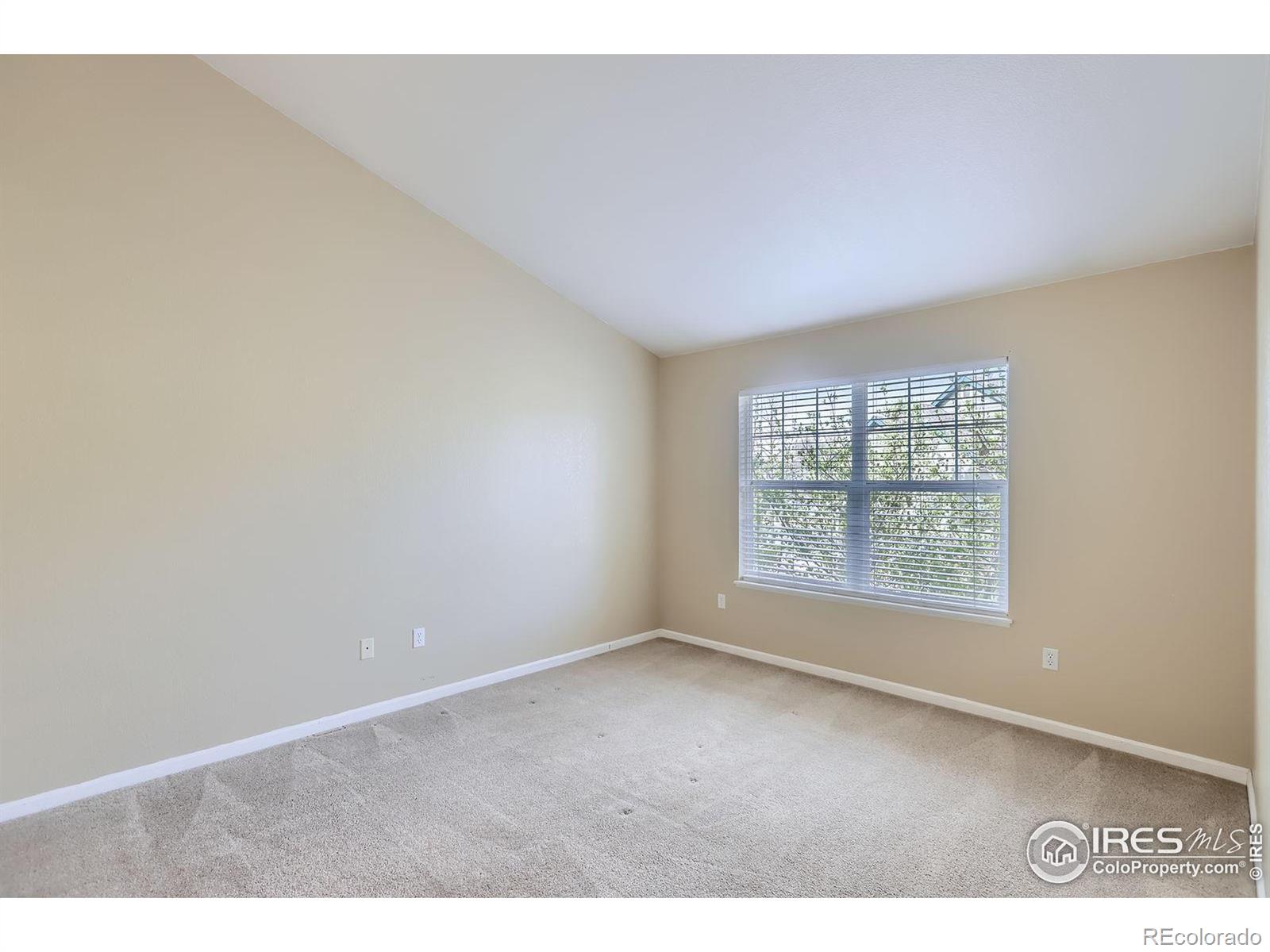 MLS Image #12 for 5225  white willow drive,fort collins, Colorado