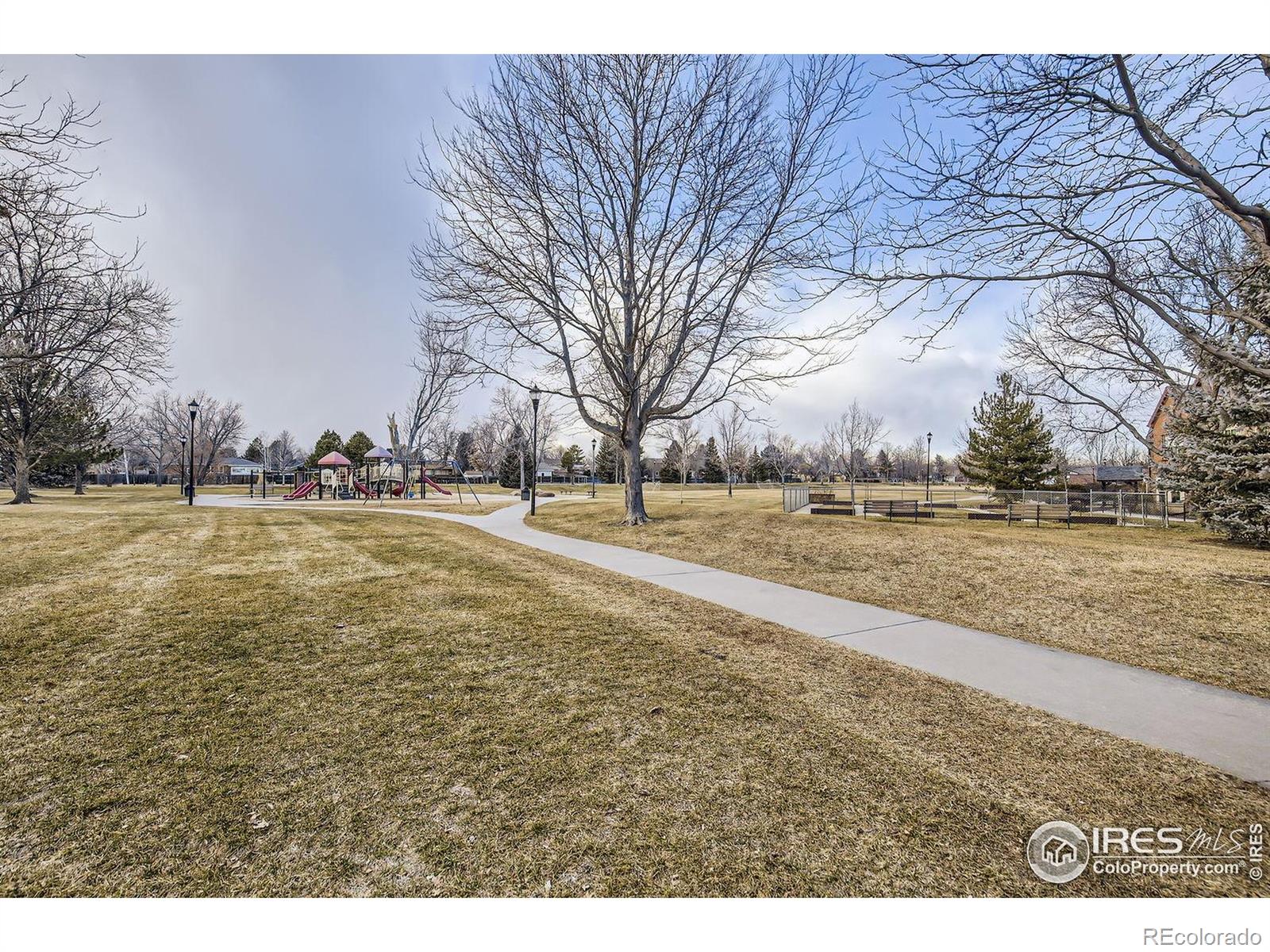 MLS Image #13 for 1379  charles drive,longmont, Colorado