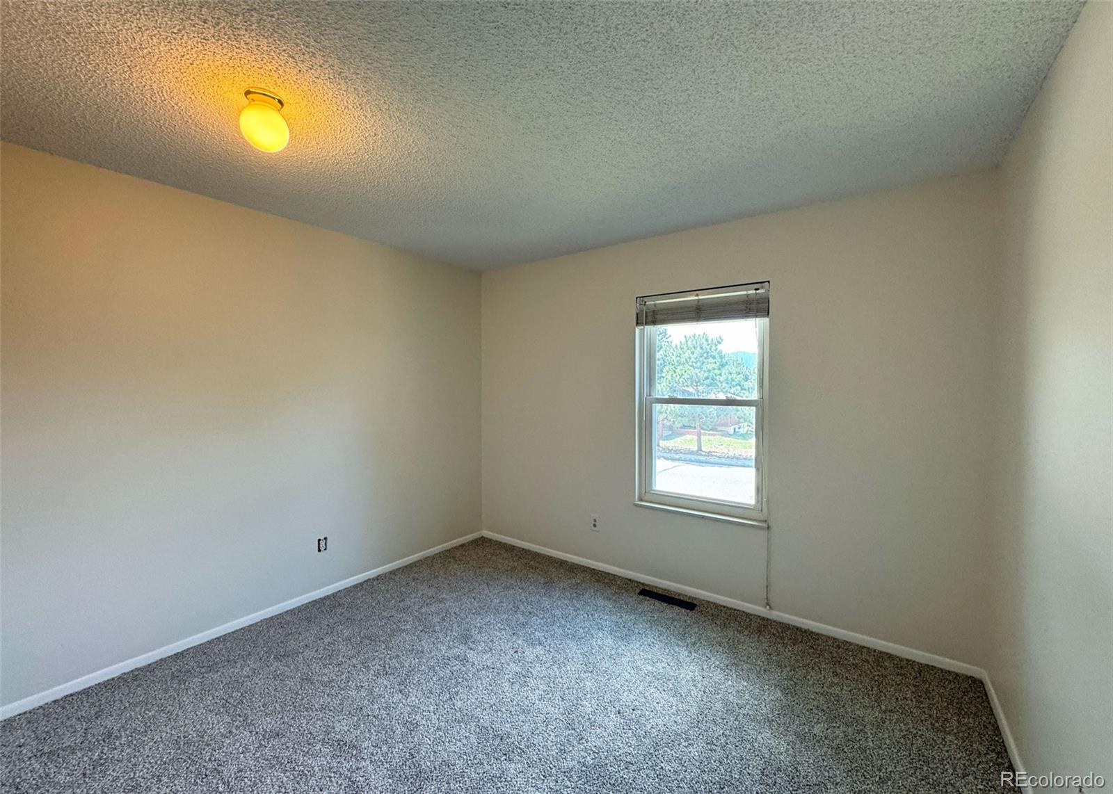MLS Image #22 for 5867  del paz drive,colorado springs, Colorado