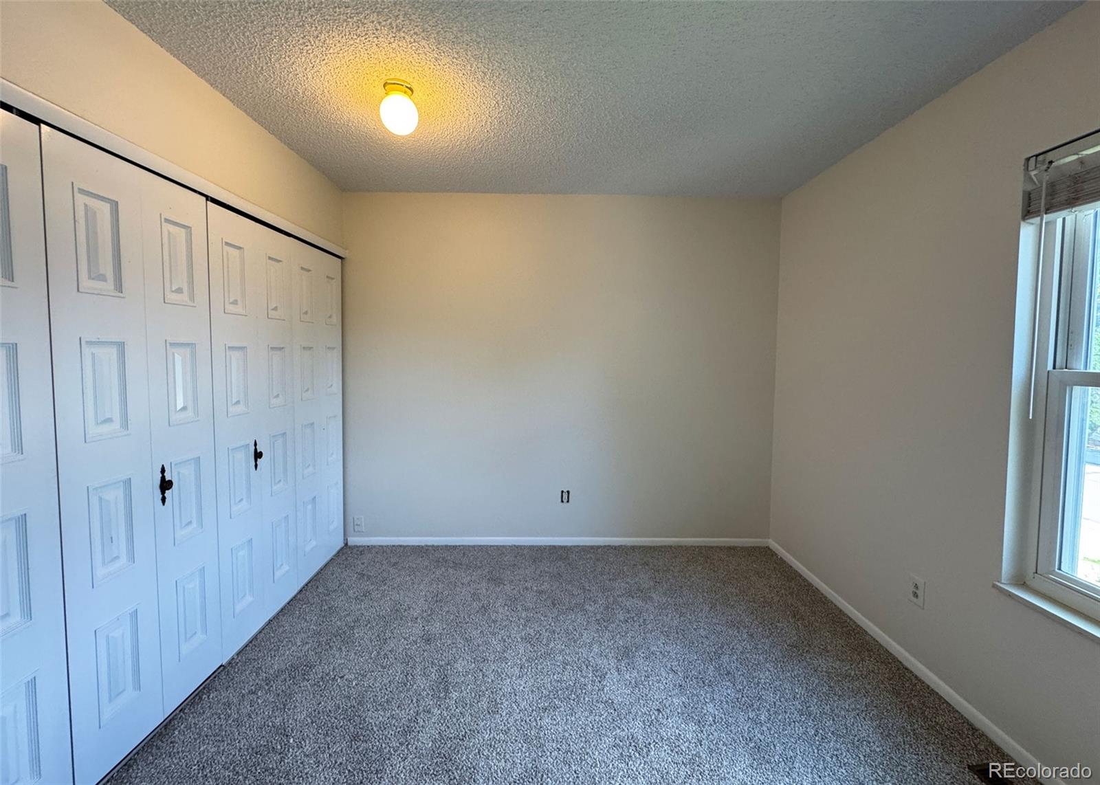 MLS Image #24 for 5867  del paz drive,colorado springs, Colorado