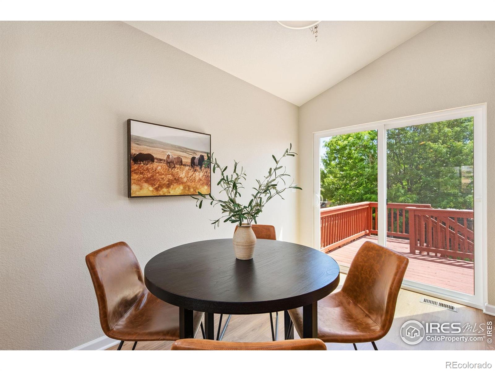MLS Image #10 for 902  delphinus place,loveland, Colorado