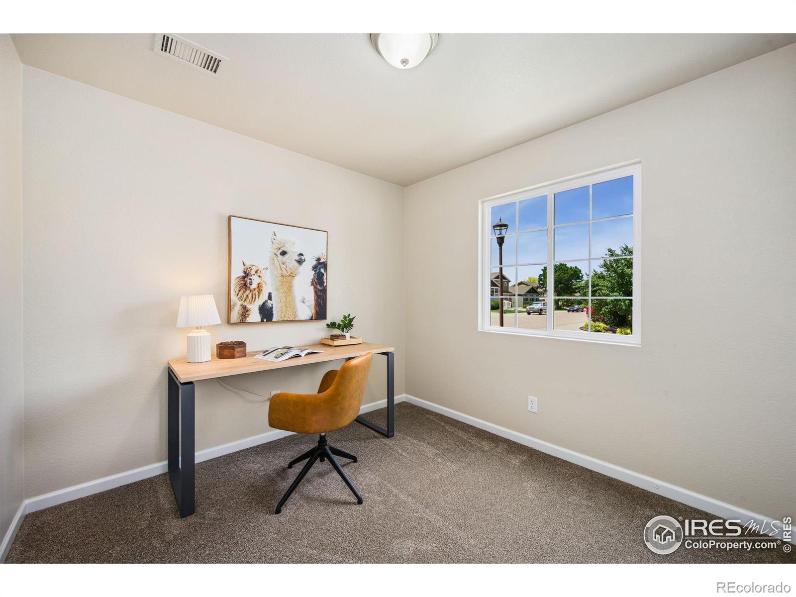 MLS Image #5 for 902  delphinus place,loveland, Colorado