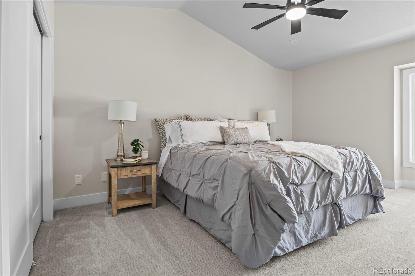 MLS Image #20 for 34  honey locust ,littleton, Colorado