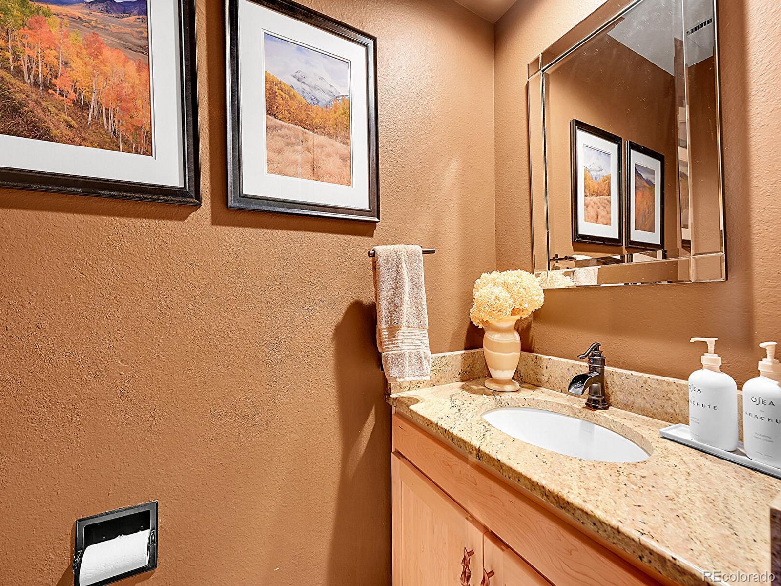 MLS Image #15 for 7335 s milwaukee way,centennial, Colorado